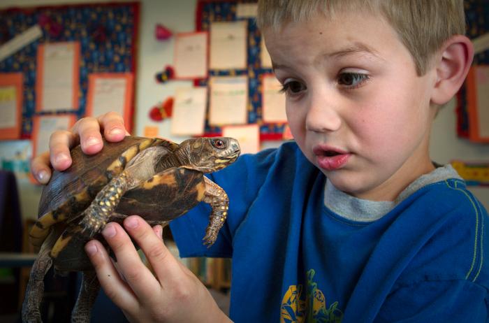 image of  boy and turtle