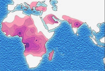 global distribution of sickle cell