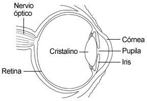 Eye Diagram shown in Spanish