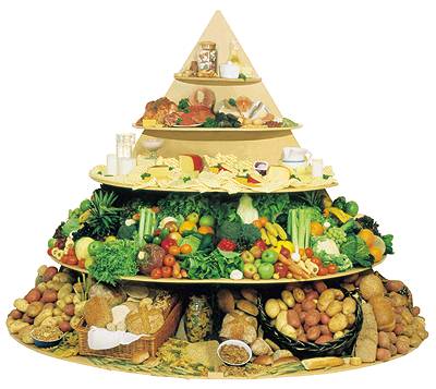 food pyramid