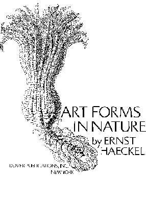  Art Forms in Nature 