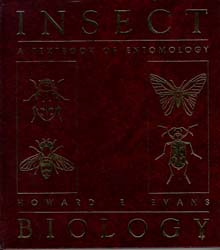  Insect Biology 