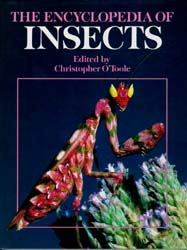  The Encyclopedia of Insects 