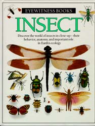  Insect 