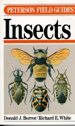  Insects