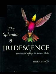  The Splendor of Iridescence 