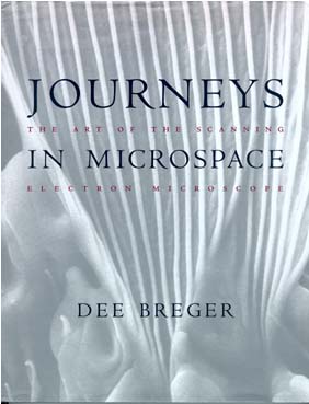 Journeys in Microspace