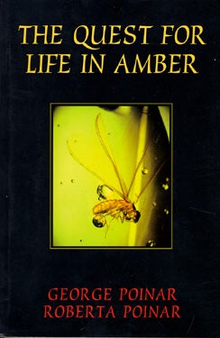  The Quest for Life in the Amber 