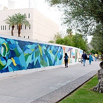 Murals painted on the contruction wall around the Lattie F. Coor Building