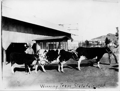 Winning Team, State Fair, 1920