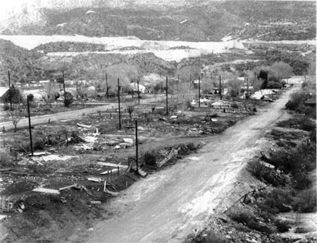 Desolate landscape with a dirt road, debris, and bare trees.