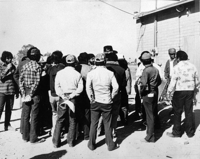 chicano walkout essay They organized a boycott against the school through walkouts through student walkouts at school, the adults in the chicano communities 5 chicana feminism. chicano walkout essay They organized a boycott against the school through walkouts through student walkouts at school, the adults in the chicano communities 5 chicana feminism.