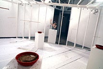 view from inside the cage