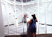 view from outside the cage