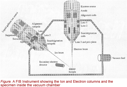 A schematic of the dual-beam FIB setup