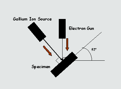 FIB-DualBeam