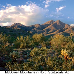 Photo of McDowell Mountains