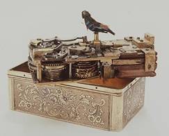 bird