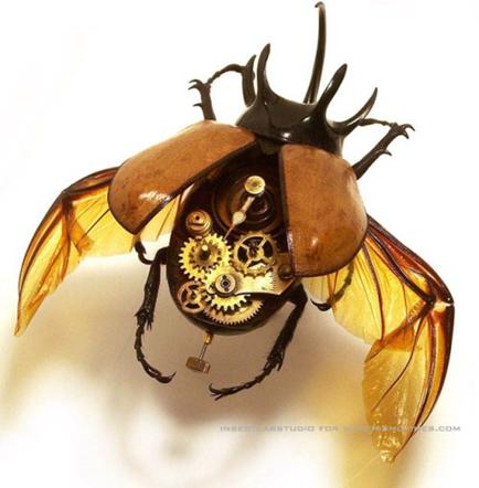 insectlab07