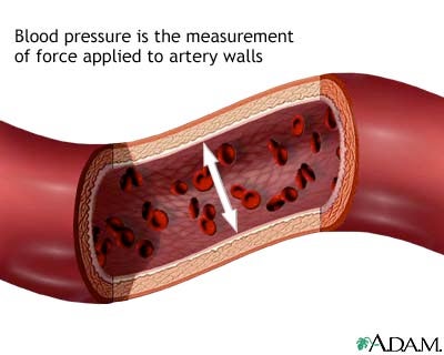 artery