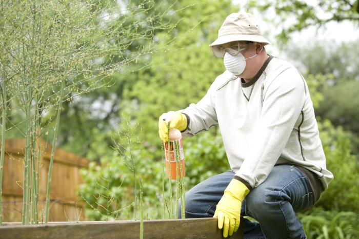 Man in his garden wearing protective gloves, a long sleeve shirt, mask, and eye protection as he sprays his bottle of pesticides.