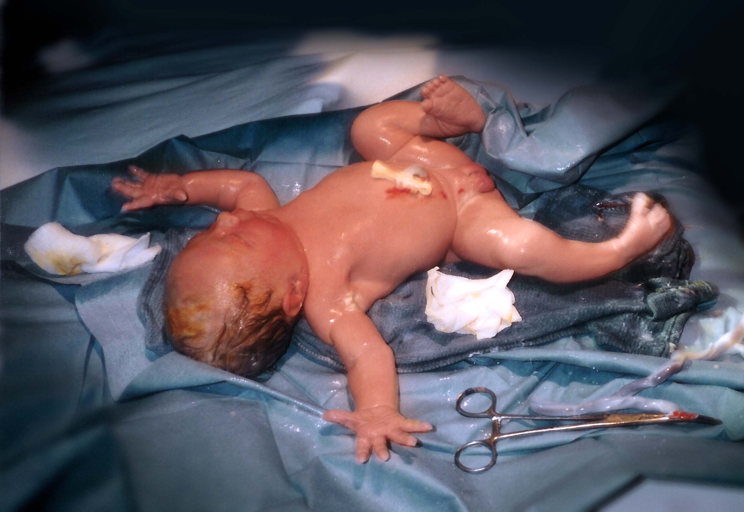 Newborn_human_child.jpg