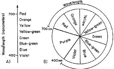 Color Wheel Wavelength Chart