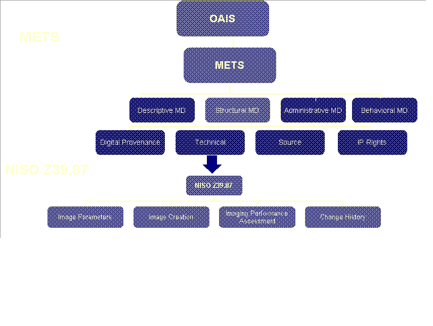 METS NISO Flow Charts