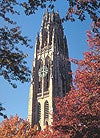 [Yale University]