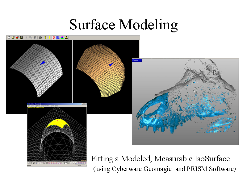 Image of Slide 16