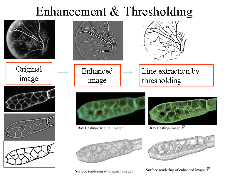 Image of Slide 17