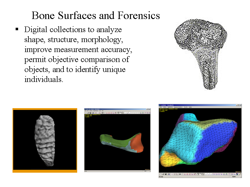 Image of Slide 24