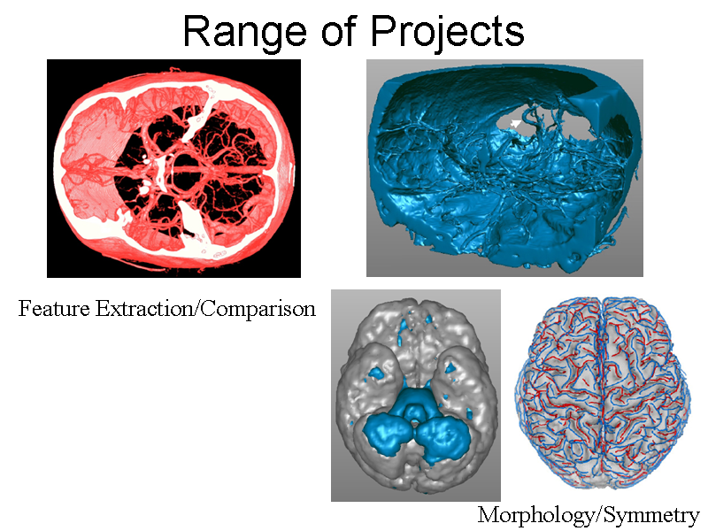 Image of Slide 31