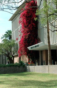 Farmer Building, College of Education, Arizona State University