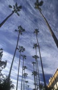 Atrium, Farmer Building, College of Education, Arizona State University