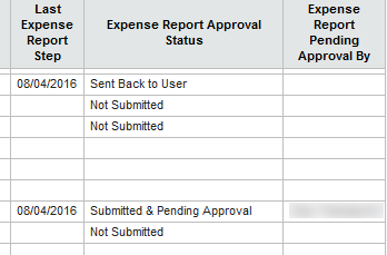 what is an expense report