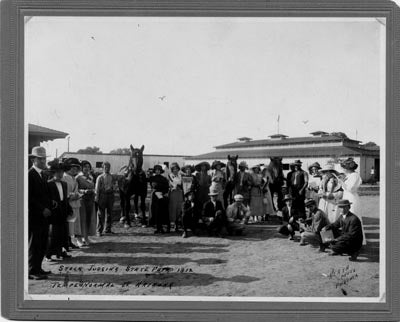 Stock judging at State Fair, 1912