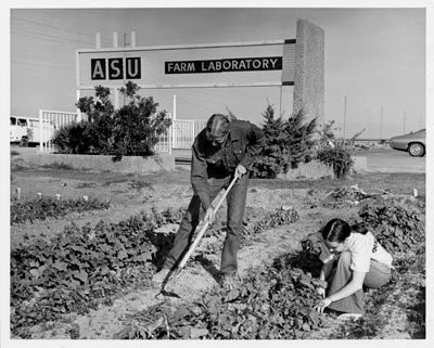 ASU Farm Laboratory, Agriculture Department, 1973