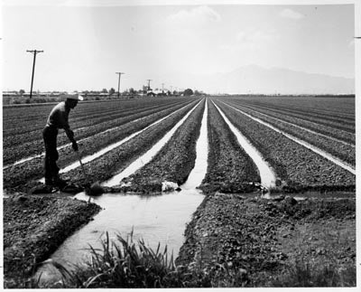 Tempe Normal Farm, 1920s