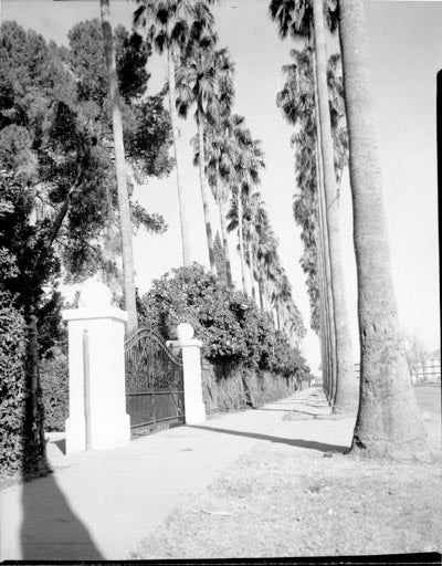 Palm Walk, 1957