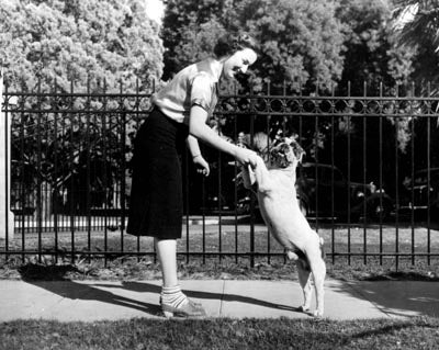 Mascot Pete the Bulldog, 1938