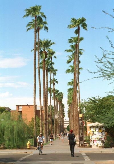 Palm Walk, ca. 1990s