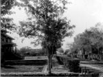 Original building, Alpha Hall and Old Main on Tyler Mall, ca. 1904-05