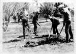 Annual Tree Planting Tradition, 1923