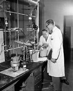 Dr. Roland K. Robins in the Cancer Research Laboratory, 1957