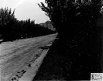 'N' Mountain toward the north on College Ave., 1923