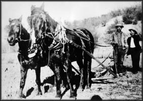  Presione aqu� para ver una imagen m�s grande - click to view 
larger image.