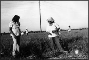  Presione aqu� para ver una imagen m�s grande - click to view 
larger image.