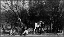 Presione aqu� para ver una imagen m�s grande - click to view 
larger image.