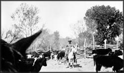 Presione aqu� para ver una imagen m�s grande - click to view 
larger image.